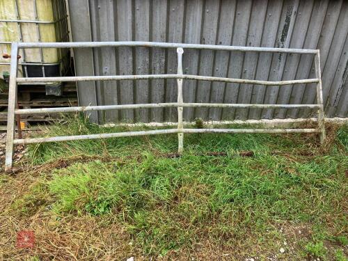 10' YARD GATE (153)