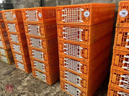 6 GIORDOANO POULTRY CRATES (147)