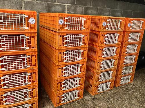 6 GIORDOANO POULTRY CRATES (146)
