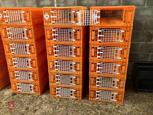 6 GIORDOANO POULTRY CRATES (145)