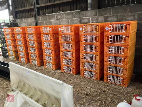 6 GIORDOANO POULTRY CRATES (144)