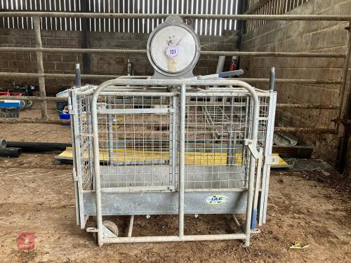 IAE GALVANISED SHEEP WEIGH SCALES (131)