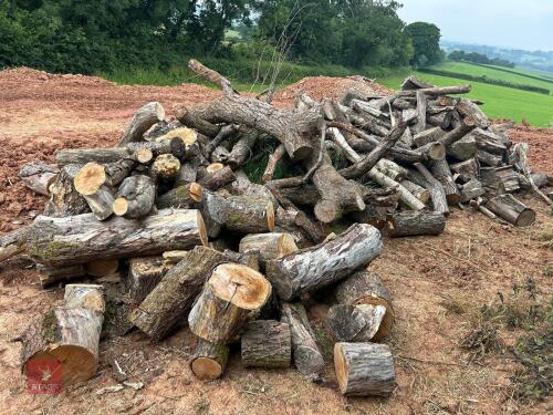 CORN TRAILER OF DRY TIMBER