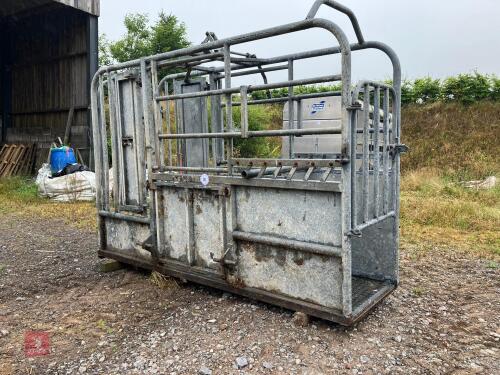 GALVANISED IAE CATTLE CRUSH (35)