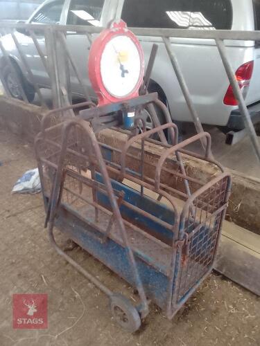 LAMB WEIGHER