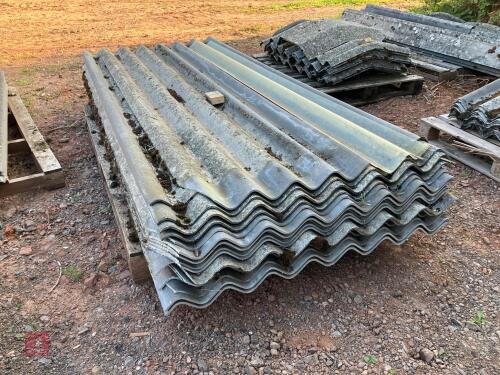 25 FIBRE CEMENT ROOF SHEETS (3)