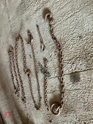 VARIOUS CHAINS