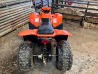 HORNET 100CC KIDS QUAD BIKE - 10