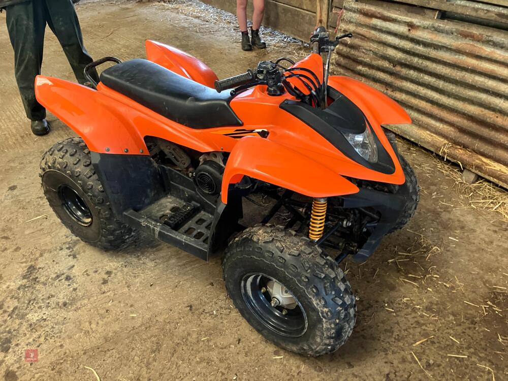 HORNET 100CC KIDS QUAD BIKE