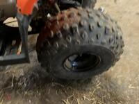 HORNET 100CC KIDS QUAD BIKE - 19