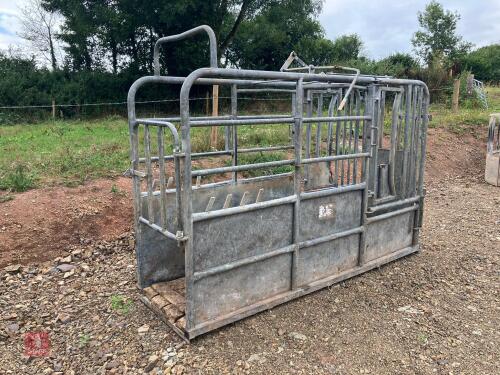 BATEMAN CATTLE CRUSH