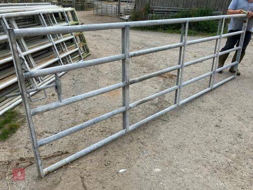 12' 6'' HD YARD GATE (26)