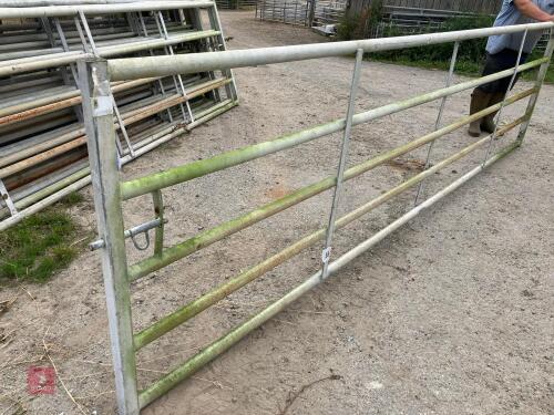 14' 6'' HD YARD GATE (24)