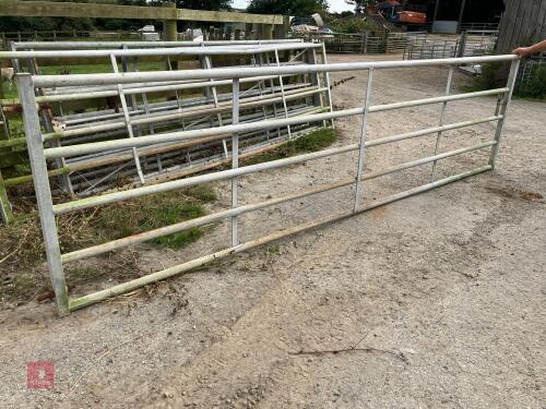 14' HD YARD GATE (18)