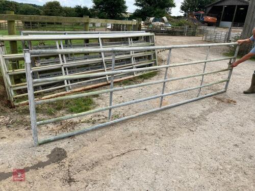 14' HD YARD GATE (20)