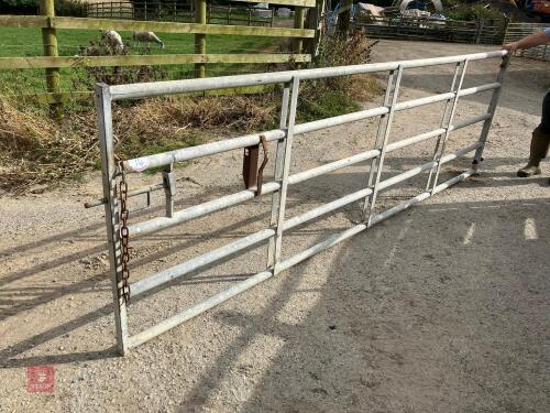 12' HEAVY DUTY YARD GATE (14)