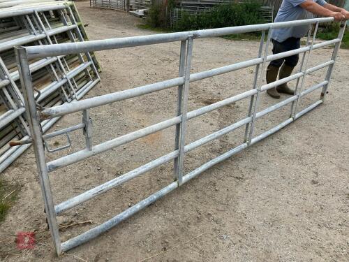 12' 6'' HD YARD GATE (27)
