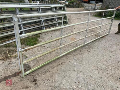 14' 6'' HD YARD GATE (22)