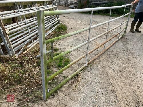 14' 2'' HD YARD GATE (17)
