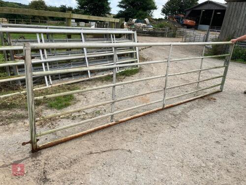 14' 1 HD YARD GATE (19)