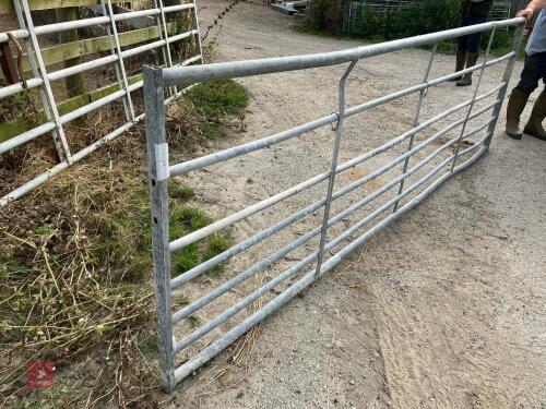 12' GALVANISED FIELD GATE (15)