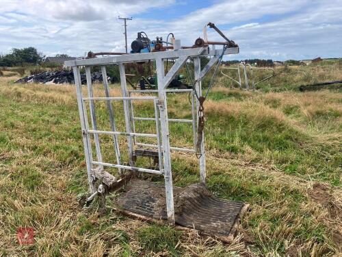 CATTLE FOOT TRIMMING CRUSH S/R