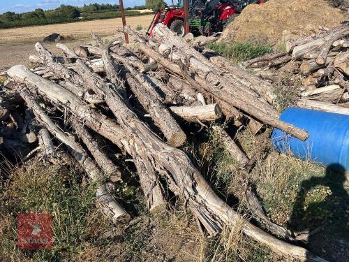 FIR FIREWOOD IN LENGTHS