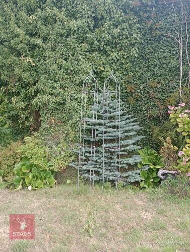 PLANT CLIMBERS