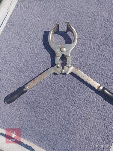 CATTLE BURDIZZO CASTRATORS