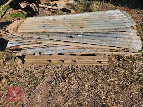 RUSTY TIN SHEETS (S/R)