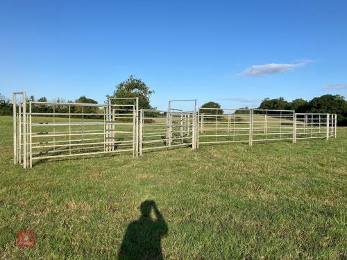 GALVANISED CATTLE HANDLING SYSTEM