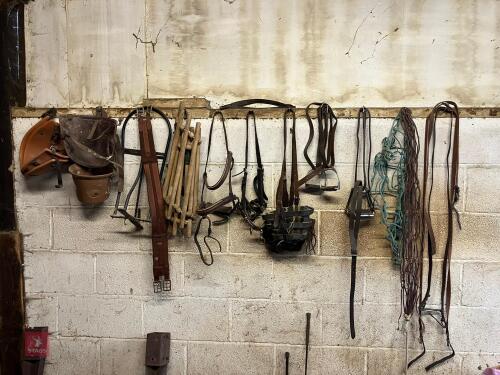 EQUINE ACCESSORIES