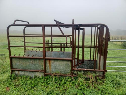 CATTLE CRUSH