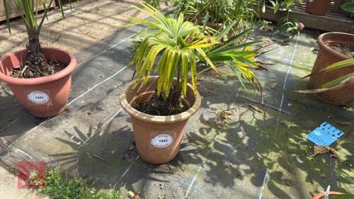1 X UNKNOWN PLANT