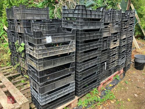 LARGE QTY OF BLACK PLASTIC TRAYS