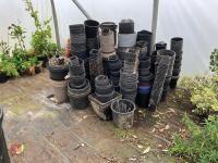 LARGE VARIETY OF PLANT POTS