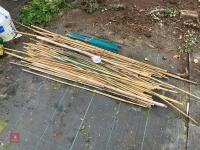 BUNDLE OF BAMBOO CANES