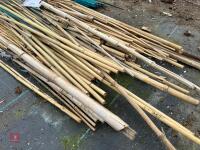 BUNDLE OF BAMBOO CANES - 4