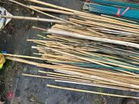 BUNDLE OF BAMBOO CANES - 5