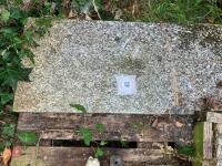 18'' x 44'' GRANITE SLAB - 4