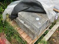 19 X 4'' CONCRETE BLOCKS - 2