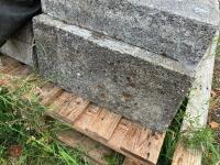 19 X 4'' CONCRETE BLOCKS - 3