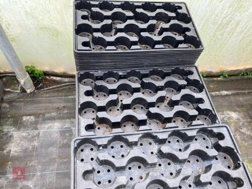 QTY OF POT TRAYS