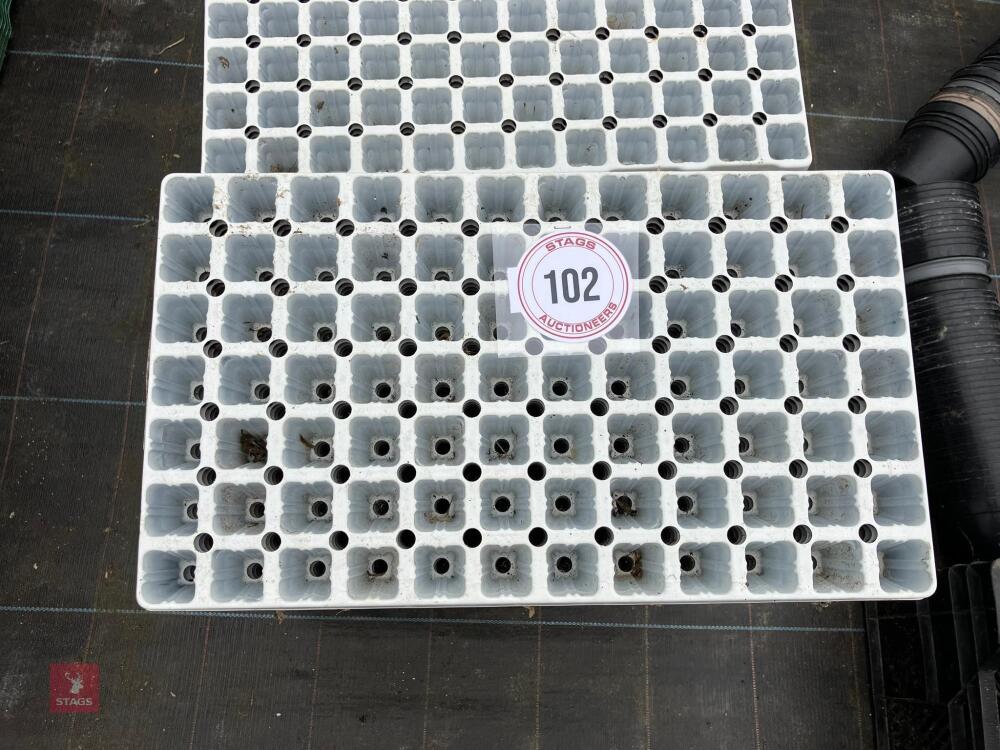 QTY OF PLUS TRAYS