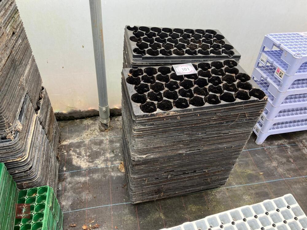QTY OF JIFFY PLUG TRAYS