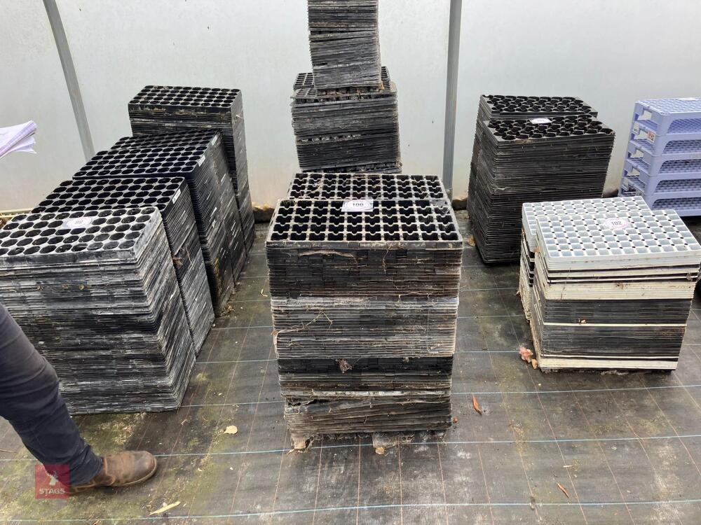 LARGE QTY OF PLUS SEED TRAYS