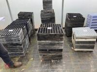 LARGE QTY OF PLUS SEED TRAYS