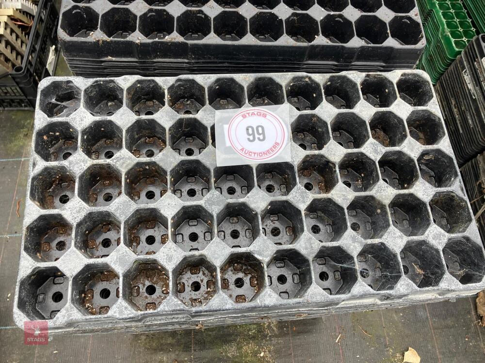 LARGE QTY OF PLUG SEED TRAYS