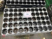LARGE QTY OF PLUG SEED TRAYS