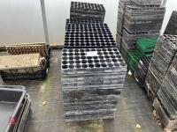 LARGE QTY OF PLUG SEED TRAYS - 2